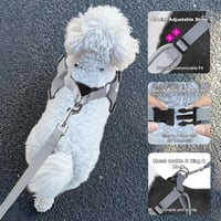 Feycig kutyahám kis kutyáknak, fényvisszaverő, légáteresztő, fogantyúval - zöld - M-es méret 5