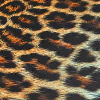 Finest Folia Laptop Fólia Kryt LP27 s leopardím vzorom Samolepiaca vinylová nálepka Ochranný kryt na notebook 17 palcov 2