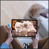 Fintie Hybrid Samsung Galaxy Tab S7 11" tok átlátszó hátlappal - fekete 9