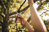 Fiskars Bypass Metszőolló Friss Ágakhoz, Tapadásmentes Bevonatú Acél Pengék, Alumínium Nyél, Fekete/Narancs, Plus P531 4