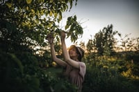 Fiskars Bypass Metszőolló Friss Ágakhoz, Tapadásmentes Bevonatú Acél Pengék, Alumínium Nyél, Fekete/Narancs, Plus P531 8