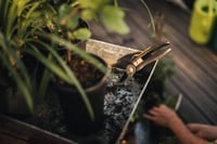 Foarfecă de grădină Fiskars Bypass Solid P321, mărimea M, pentru ramuri verzi, lamă din oțel inoxidabil cu strat antiaderent, 20,1 cm, negru/portocaliu 4
