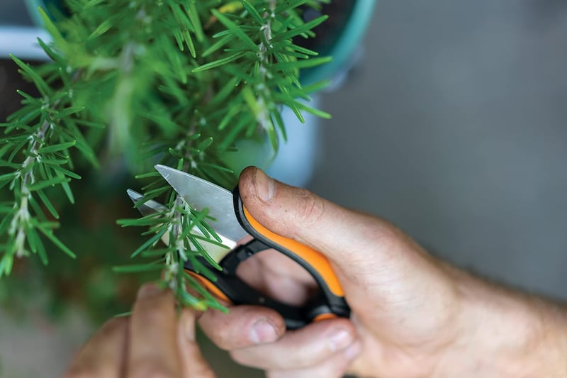 Fiskars Herb Scissors 5.1" rozsdamentes acél pengék fekete-narancssárga SP-220