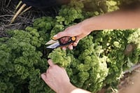 Fiskars Herb Scissors 5.1" rozsdamentes acél pengék fekete-narancssárga SP-220 7