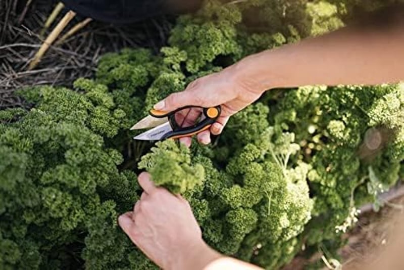Fiskars Herb Scissors 5.1" rozsdamentes acél pengék fekete-narancssárga SP-220