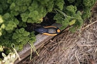 Fiskars Herb Scissors 5.1" rozsdamentes acél pengék fekete-narancssárga SP-220 10