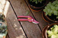 Fiskars Inspiration Ruby P26 škare za obrezivanje svježih grana, 20 cm, ugljični čelik, premaz protiv prianjanja, ružičasto/narančaste, 1003657 9