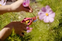 Fiskars Inspiration Ruby P26 škare za obrezivanje svježih grana, 20 cm, ugljični čelik, premaz protiv prianjanja, ružičasto/narančaste, 1003657 5