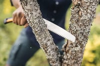Fiskars Plus Összecsukható Fűrész 21cm Vastagabb Ágakhoz Fekete/Narancs - saw (20 cm blade) 8
