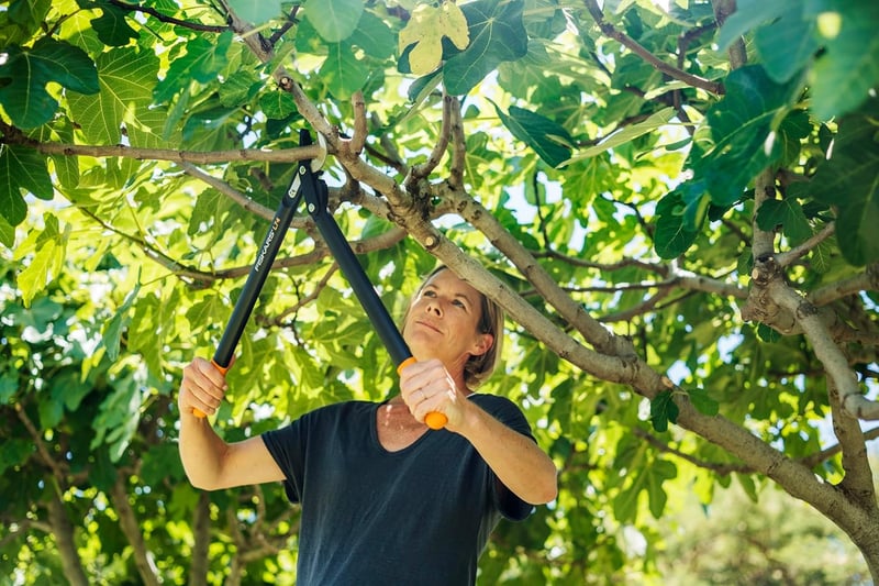 Fiskars PowerGear II Bypass Metszőolló Friss Fához, Keményfém Pengékkel, Nem Tapad Bevonattal - L74 (branch diameter 3.8 cm)