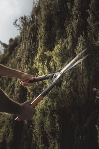 Fiskars PowerGear X HSX92 Fogaskerekes Sövényvágó Olló – Tapadásmentes Bevonat, Acél Pengék, 63 cm, Fekete/Narancs 5
