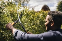 Fiskars PowerGear X HSX92 Fogaskerekes Sövényvágó Olló – Tapadásmentes Bevonat, Acél Pengék, 63 cm, Fekete/Narancs 3