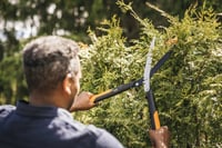 Fiskars PowerGear X HSX92 Fogaskerekes Sövényvágó Olló – Tapadásmentes Bevonat, Acél Pengék, 63 cm, Fekete/Narancs 4