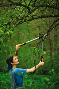 Foarfecă pentru crengi Fiskars PowerGear X LX98-L, bypass, cu mecanism cu pârghie, pentru lemn verde, 80 cm, strat antiaderent, negru/portocaliu 5