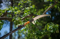 Fiskars QuikFit 1000691 Píla na konáre 55 cm, čepeľ z kalenej ocele, čierna/oranžová, na rezanie vzdialených konárov 4