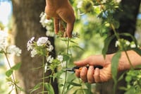 Fiskars Solid Micro-Tip SP130 precíziós metszőolló 3