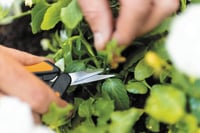 Fiskars Solid Micro-Tip SP130 precíziós metszőolló 2
