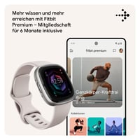 Inteligentné hodinky Fitbit Sense 2 – Zabudované GPS, EKG, zvládanie stresu a analýza spánku – Kompatibilné s Android a iOS – Mesačná biela / Platínový hliník 10