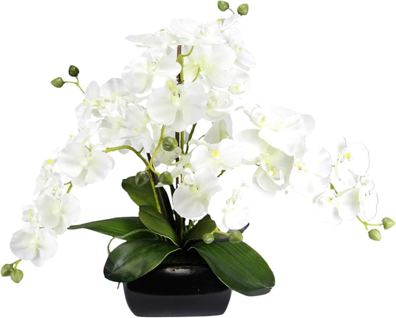 Flair Flower műorchidea levelekkel és légyökerekkel kerámia kaspóban - 40 cm