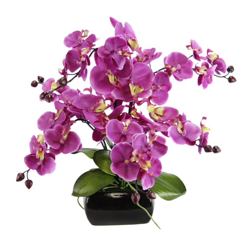 Orhidee fluture artificială Flair Flower cu frunze și rădăcini aeriene în bol ceramic, plantă artificială Phalaenopsis, decorațiune de nuntă, floare din mătase, aspect natural (Real Touch)