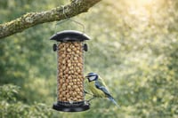 Hrănitoare pentru păsări Flamingo Dudley neagră – 22,5 cm – pentru arahide – metal vopsit electrostatic – capac detașabil 3