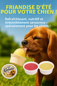 Înghețată pentru câini Flamingo Gelato - înghețată cu aromă de ananas, banană sau zmeură pentru câini - variantă surpriză - se poate comanda la bucată 2