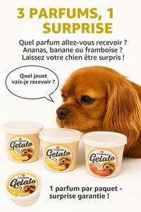 Înghețată pentru câini Flamingo Gelato - înghețată cu aromă de ananas, banană sau zmeură pentru câini - variantă surpriză - se poate comanda la bucată 3