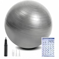 flintronic Gimnasztikai Labda 55/65 cm Pumpával, Robusztus Yoga Pilates Fitnesz Labda - 55 cm, Grey 1