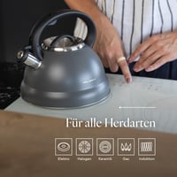 FLORINA Jacob rozsdamentes sípos teáskanna, 2,5 l - szürke 3