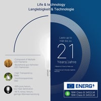 FLSNT LED Edison E27 izzó 18W 3452 lumen nappali fény 5000K 2db 4