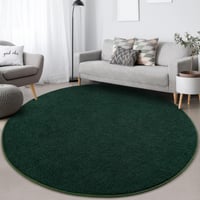 Covor rotund FlyDOIT pentru dormitor și sufragerie, 183x183 cm, verde închis, covor rotund gros din spumă cu memorie, moale, în stil minimalist modern 8