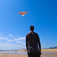 Flying Hoofer 180cm Sárkány Felnőtteknek és Gyerekeknek, Könnyű Összeállítás és Repülés 6