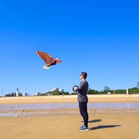 Flying Hoofer 180cm Sárkány Felnőtteknek és Gyerekeknek, Könnyű Összeállítás és Repülés 7