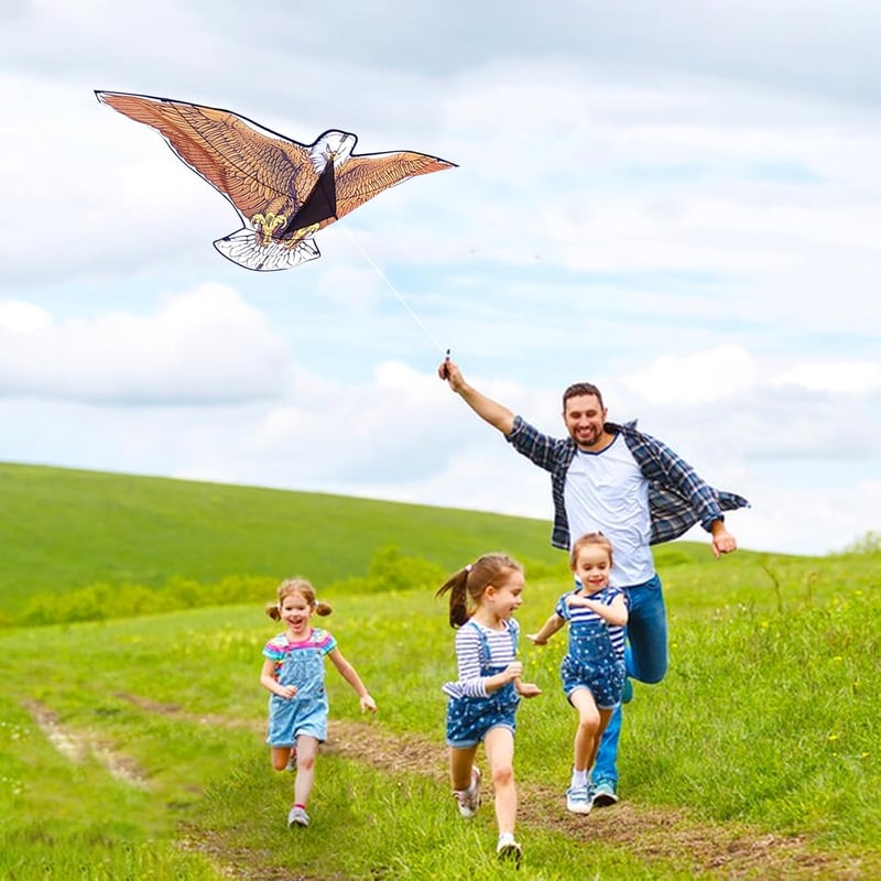 Flying Hoofer 180cm Sárkány Felnőtteknek és Gyerekeknek, Könnyű Összeállítás és Repülés