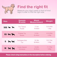Flying Paws Eldobható Kutyapelenka XS Méret 10 db Macskáknak és Kutyáknak 6
