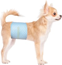 Flying Paws Férfi Kutyapelenka L-es 63-80 cm Derékbőséghez, 20 db Csomag 1
