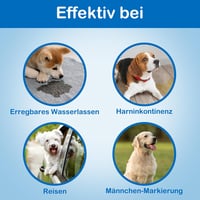Flying Paws Férfi Kutyapelenka L-es 63-80 cm Derékbőséghez, 20 db Csomag 5