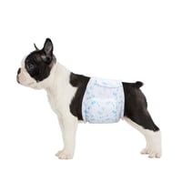 Flying Paws plienky pre psov samcov, veľkosť S, 52 ks jednorazových absorpčných pásov na brucho pre malé psy, obvod pása 30 – 48 cm 1