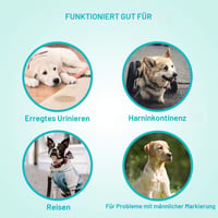 Flying Paws plienky pre psov samcov, veľkosť S, 52 ks jednorazových absorpčných pásov na brucho pre malé psy, obvod pása 30 – 48 cm 4