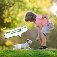 Flying Paws Plienky pre psov, samce, veľkosť M, 24 ks, s aktívnym uhlím na elimináciu zápachu, mäkké, priedušné, inkontinenčné nohavice pre šteniatka 8