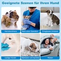 Flying Paws Kutyapelenka M-es 15 db Eldobható Nőstény Hímkutyák Rugalmas Derékpánttal 6