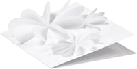 folia Tonpapier színes papír A4, 130 g/m², fehér - 100 lapos csomag 3