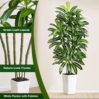 FSOHOI 180cm Műanyag Dracaena Fa Fehér Kaspóval Trópusi Dekoráció Lakásba - 22.9 cm, 1, White Tall Planter 3