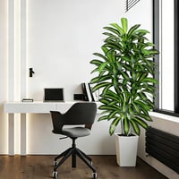 FSOHOI 180cm Műanyag Dracaena Fa Fehér Kaspóval Trópusi Dekoráció Lakásba - 22.9 cm, 1, White Tall Planter 7