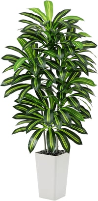 FSOHOI 180cm Műanyag Dracaena Fa Fehér Kaspóval Trópusi Dekoráció Lakásba - 22.9 cm, 1, White Tall Planter 1