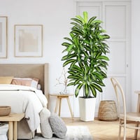 FSOHOI 180cm Műanyag Dracaena Fa Fehér Kaspóval Trópusi Dekoráció Lakásba - 22.9 cm, 1, White Tall Planter 5