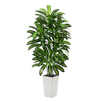 FSOHOI Umjetna dracena u visokoj bijeloj posudi - 180 cm 1