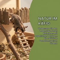 Platformă din lemn pentru hamsteri FTISSLY, suport de cățărat pe piloni cu gard și scară, jucărie pentru rozătoare, hamsteri, veverițe și șobolani 6