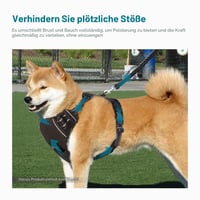 Ham pentru câini Funkeen pentru câini mici și mari - Ham anti-tragere, căptușit moale, reglabil, respirabil, negru, mărimea M 8
