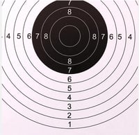 Set 100 ținte Galica – 14x14 cm – Airsoft, Plumb, 22LR – Ținte de antrenament pentru tir sportiv, reglaj și precizie 3